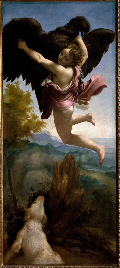 El rapto de Ganímedes de (c.1489 1534) Correggio
