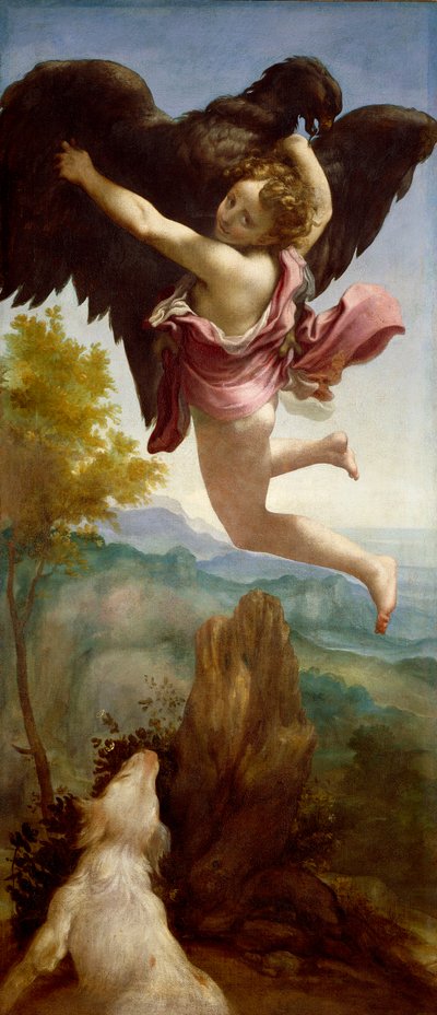 El rapto de Ganímedes de (c.1489 1534) Correggio