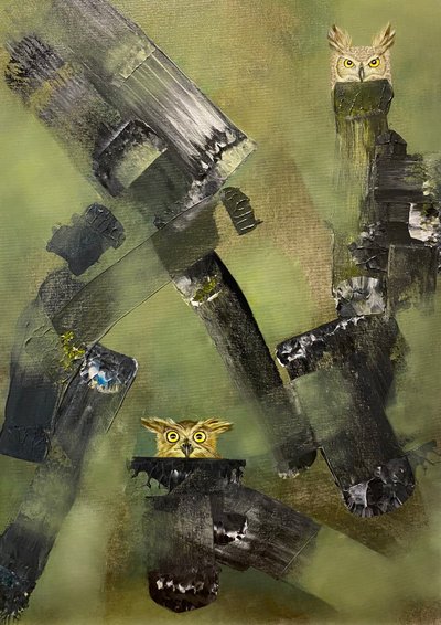 "Noches en el bosque" de Laura Anido Serrano