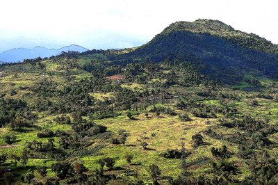 Cebú Hills de Detlef B. Fischer