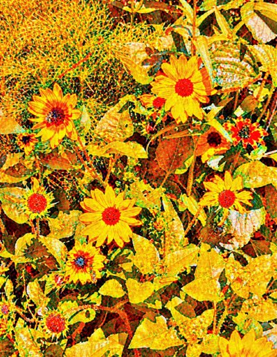 Girasoles para Van Gogh. de Margareta Uliarte