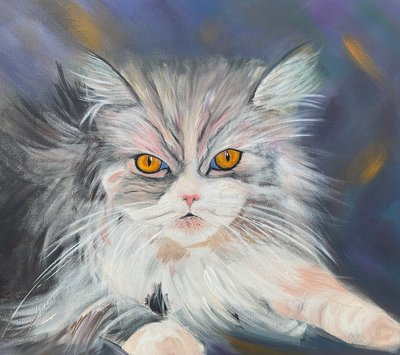 Gato Maine-Coon de H.Opitz