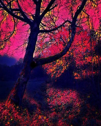 Crepúsculo. de Margareta Uliarte