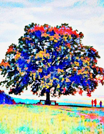 El Árbol Sagrado. Maria Plain. de Margareta Uliarte