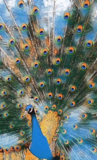 Pavo Real. de Margareta Uliarte