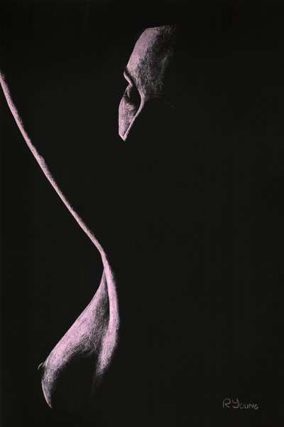Coercion de Richard Young