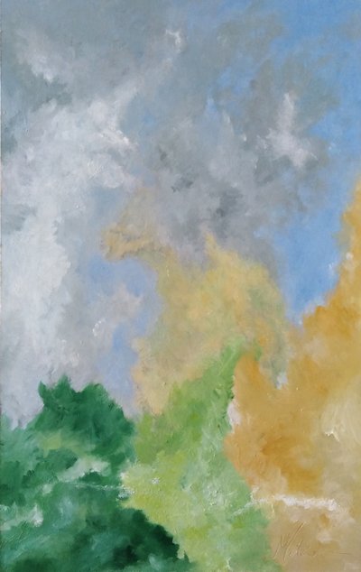 Seto de estudio y nubes de M. Vet