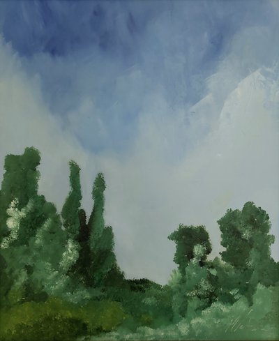 Nubes sobre el bosque de M. Vet