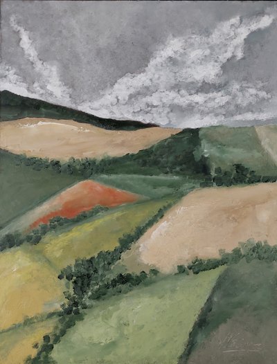 Setos entre campos de M. Vet