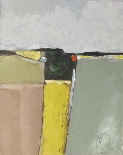 Campos de patrón regular de M. Vet