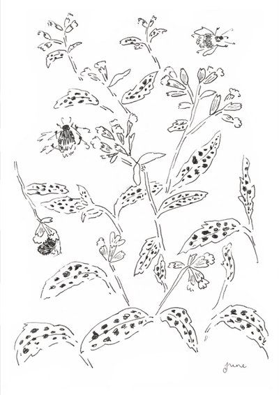 Estudio sobre los abejorros y las flores silvestres de june art