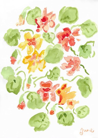Capuchinas de june art