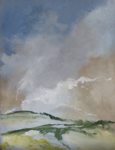 Paisaje disuelto de M. Vet