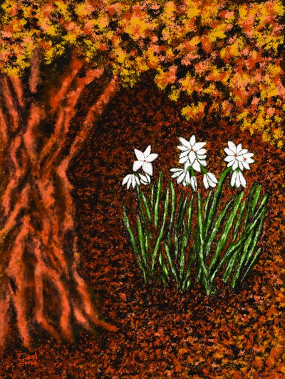 Flores de Otoño de Carol Sousa Cuello