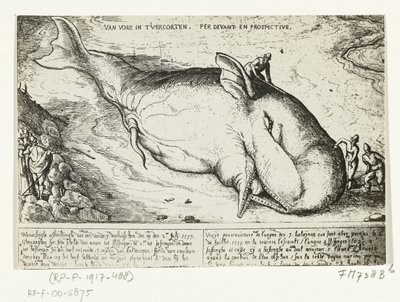 Impresión de la ballena varada cerca de Amberes, 2 de julio de 1577 de A.B. van Deinse