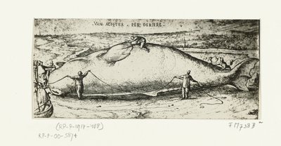 Impresión de la ballena varada cerca de Amberes, 2 de julio de 1577 de A.B. van Deinse
