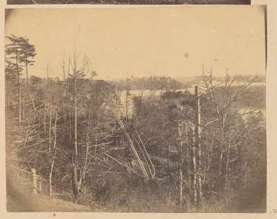 [Paisaje con árboles y agua] de A.J. Russell