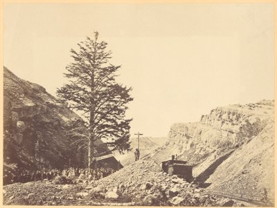 Árbol de las Mil Millas, Paso de Wilhemina de A.J. Russell