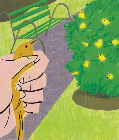 Un pájaro en la mano... de A.Richard Allen