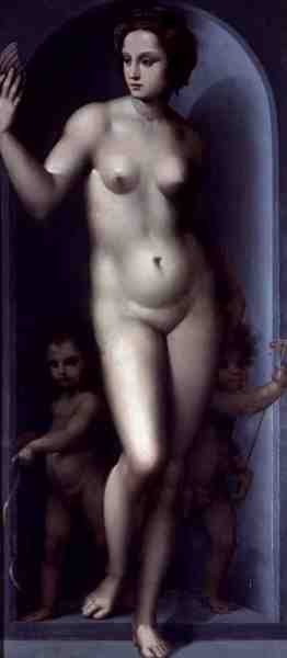 Venus Entre Dos Amores de A.  Piccinelli