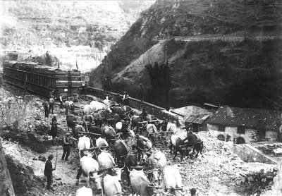 Numerosos bueyes transportan un enorme convoy de mármol, recién bajado al valle desde una cantera Apuana de A. Corsini