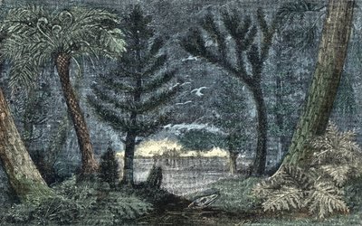 Prehistoria: paisaje característico con pantano y bosque de A. Demarle
