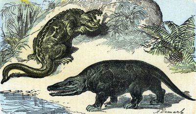 Prehistoria: representación de un iguanodonte y un megalosaurio del periodo cretácico de A. Demarle