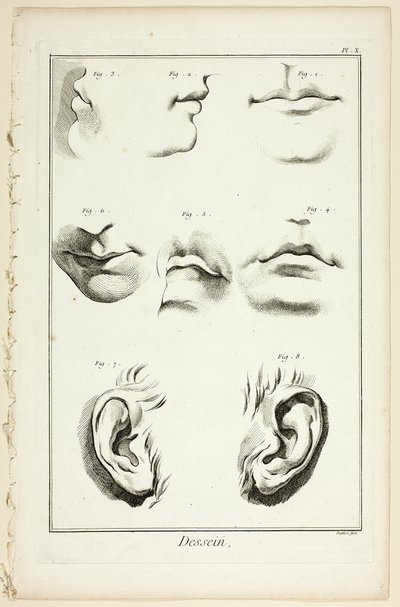 Diseño: Anatomía facial de la Encyclopédie de A. J. Defehrt