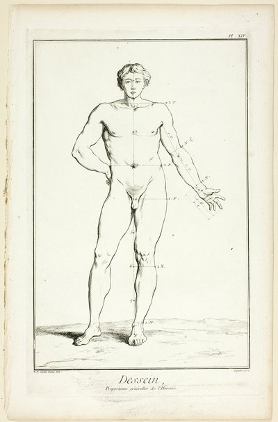 Diseño: Proporciones generales del varón, de Encyclopédie de A. J. Defehrt