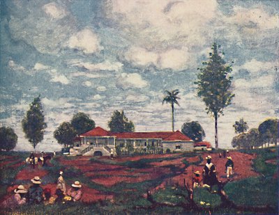 Una Fazenda de Café, 1916 de A. S. Forrest