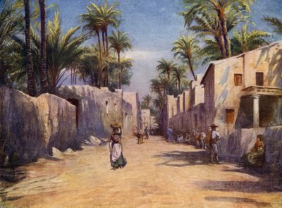 Elche, Una calle de A. Trevor Haddon