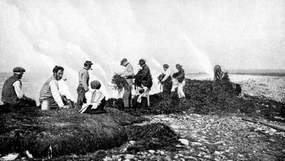 Quemando algas marinas para kelp, Islas Aran, Irlanda, 1922 de A. W. Cutler