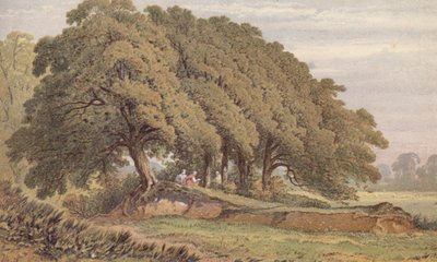 Estudio de un grupo de robles, cerca de Eltham, Kent (cromolito) de Aaron Edwin Penley