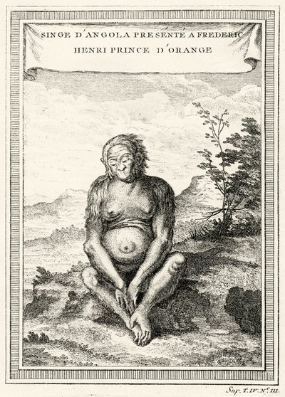 Ilustración del Orangután presentado a Federico Enrique, Príncipe de Orange, 1750 de Abbé Prévost