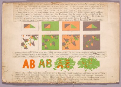 Diagrama y serpiente cabeza de cobre, carpeta de estudios para el libro Concealing Coloration in the Animal Kingdom de Abbott Handerson Thayer
