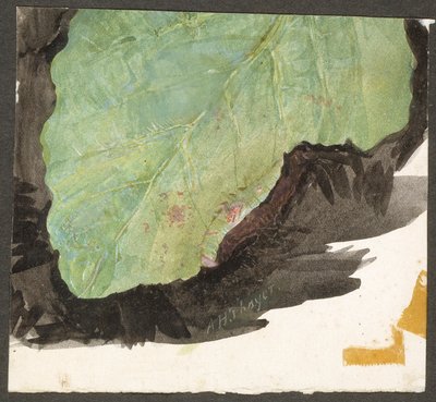 Heterocampa Biundata, Walker, estudio para el libro Ocultación de la coloración en el reino animal de Abbott Handerson Thayer
