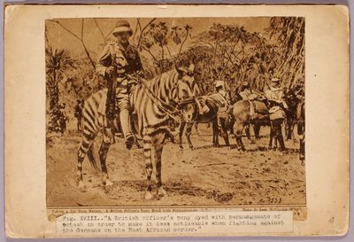 Caballo y crucero camuflados, carpeta de estudio para el libro La coloración oculta en el reino animal de Abbott Handerson Thayer