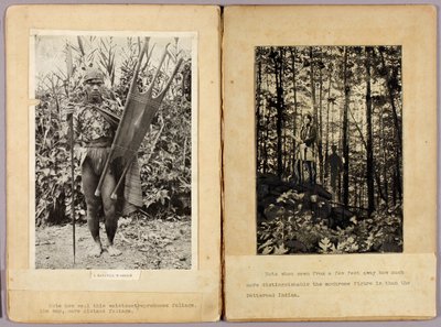 Kalinga Warriors and N. American Indians, carpeta de estudio para el libro Concealing Coloration in the Animal Kingdom. de Abbott Handerson Thayer