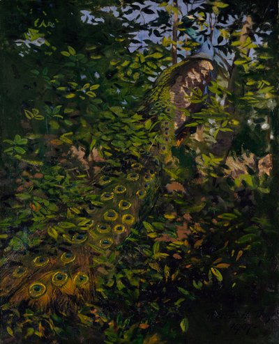 Pavo real en el bosque, estudio para el libro Concealing Coloration in the Animal Kingdom de Abbott Handerson Thayer