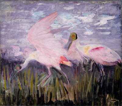 Espátulas Rosadas, estudio para el libro Concealing Coloration in the Animal Kingdom, ca. 1905-1909 de Abbott Handerson Thayer