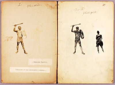 Tatuaje--Single Warrior, carpeta de estudio para el libro Ocultación de la coloración en el reino animal de Abbott Handerson Thayer