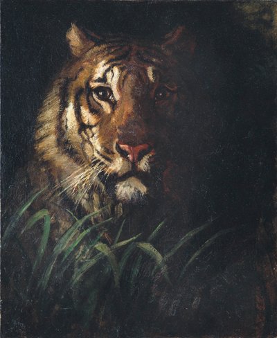 Cabeza de tigre de Abbott Handerson Thayer