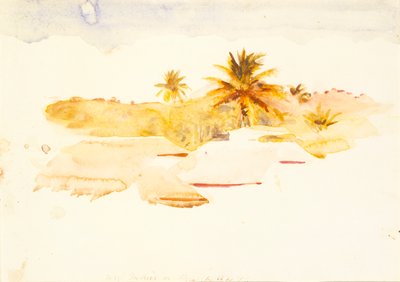 Indias Occidentales de Abbott Handerson Thayer
