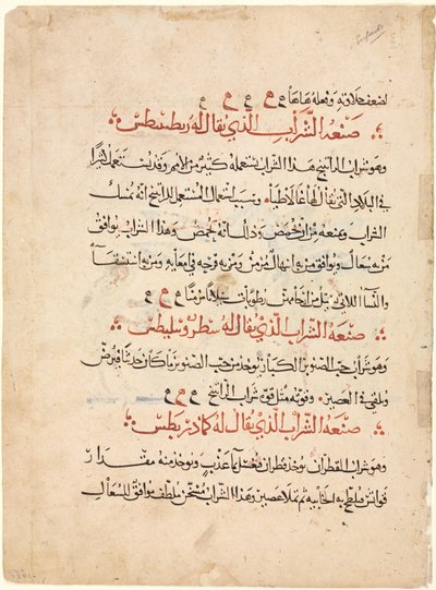 Text page from a Materia Medica of Dioscorides de Abdallah ibn al Fadl (Iraq)