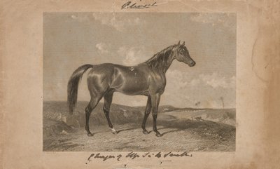 Aliwal, la propiedad de Sir Harry Smith, Bart de Abraham (after) Cooper