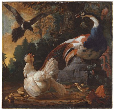 Un pavo real, aves de corral y una urraca en un paisaje, 1720 de Abraham Bisschop