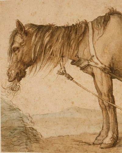 Un Caballo Comiendo Heno, c.1600-10 de Abraham Bloemaert