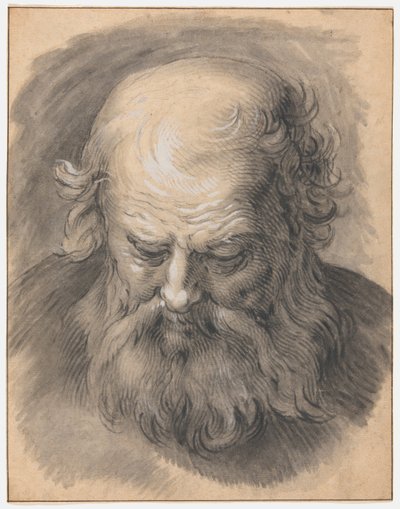 Estudio de la cabeza de un hombre con barba de Abraham Bloemaert