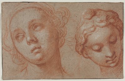 Dos Cabezas Femeninas, primera mitad del siglo XVII de Abraham Bloemaert