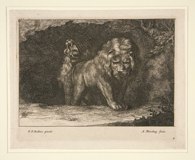 Leones. de la serie de Abraham Blooteling